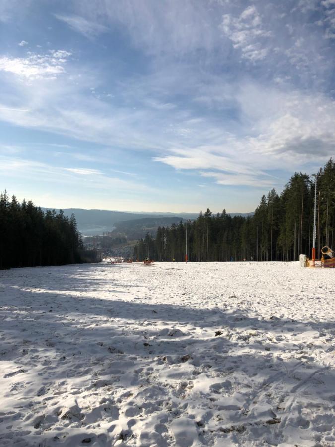 L&B Lake View Modern Apartment Lipno nad Vltavou Exterior photo